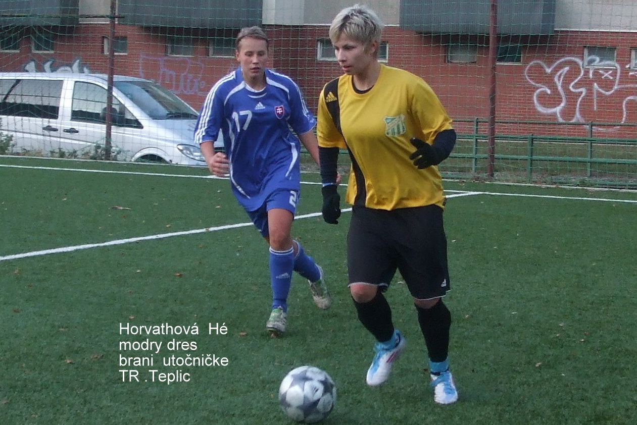 ADA Tr.Teplice -Humenné  12.11.2011 10.kolo 020   stich.jpg