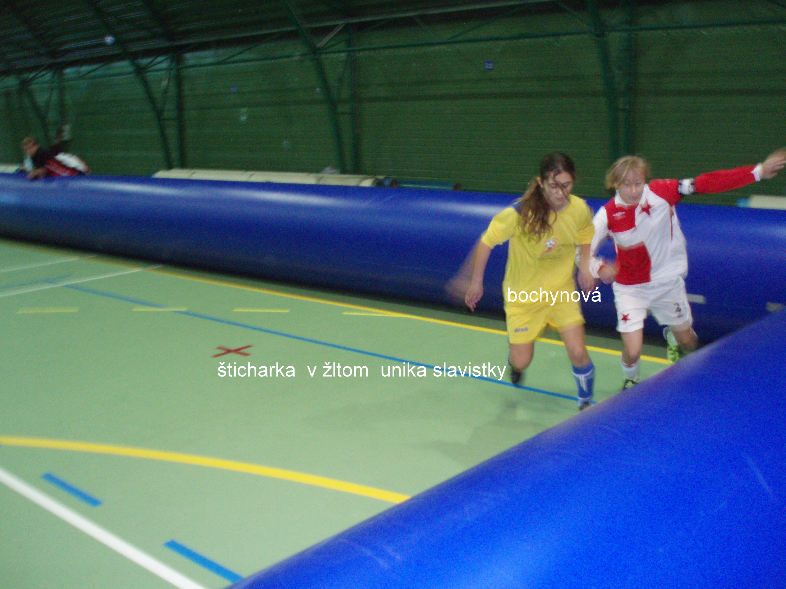 PB270048 bochynová.jpg